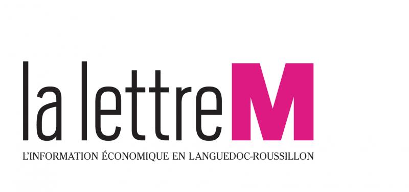 PME & Numérique : « Contrôler son image  » [La Lettre M]